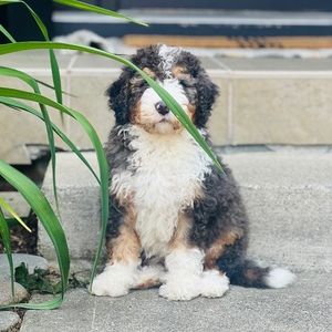 Meet your Posher, Conner smith